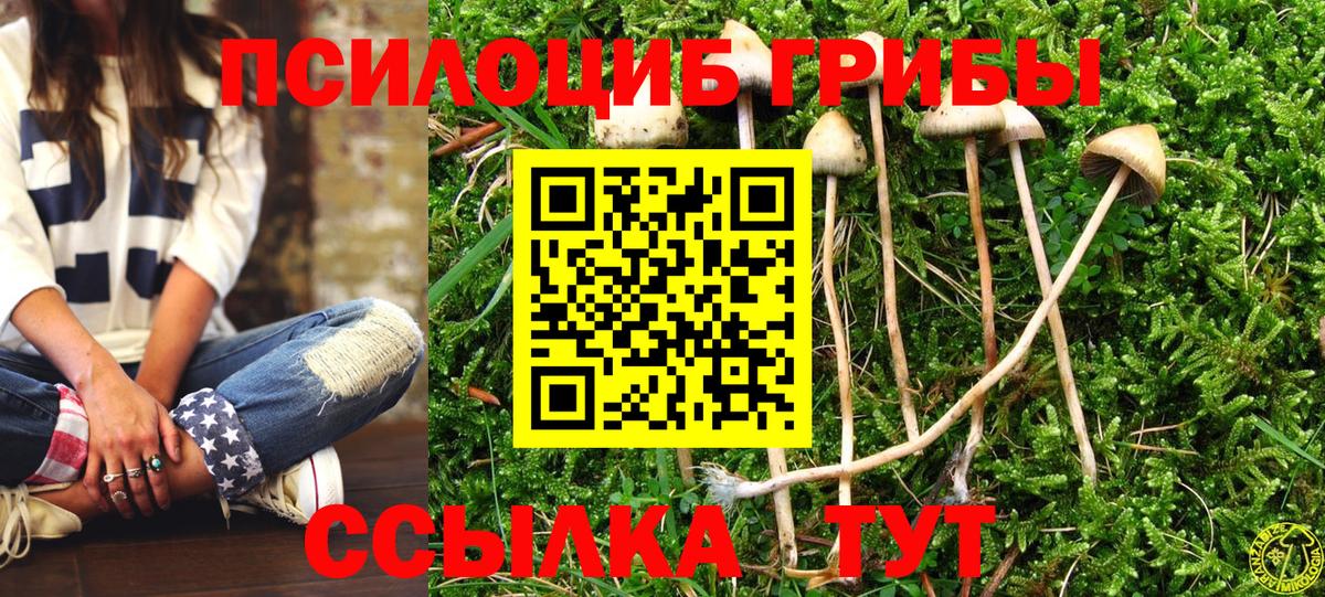Псилоцибиновые грибы прущие грибы Тайшет