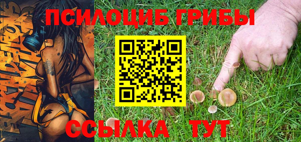 Галлюциногенные грибы GOLDEN TEACHER  Вход с VPN  наркота  Тайшет 
